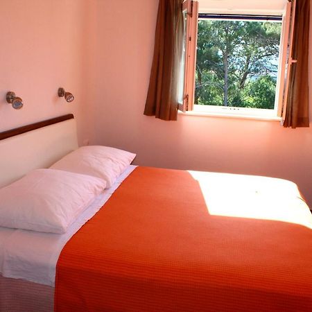 Gorgonia Suites In Verunic Bilik gambar